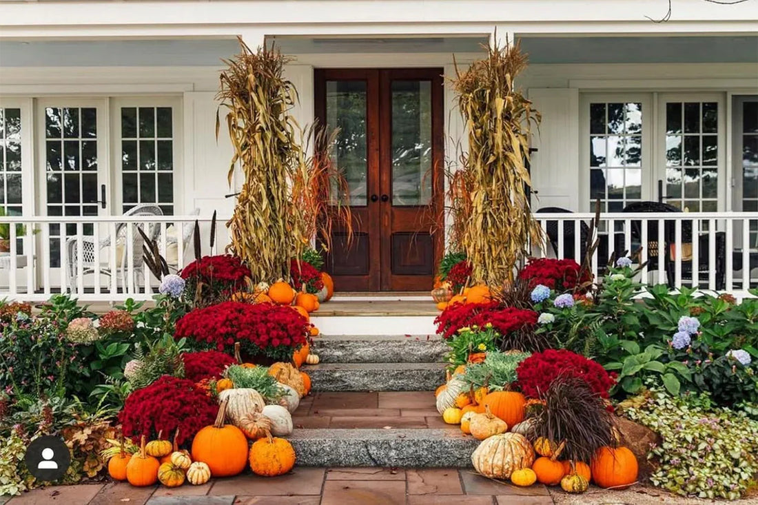 Modern Fall Porch Decor Made Simple: Stylish Pumpkin Arrangements for Every Home