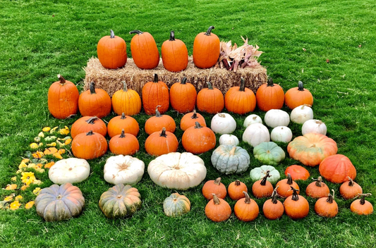 Signature Fall Porch Display Package