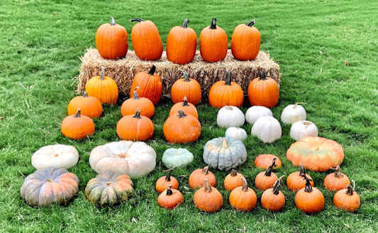 Scenic Fall Porch Package