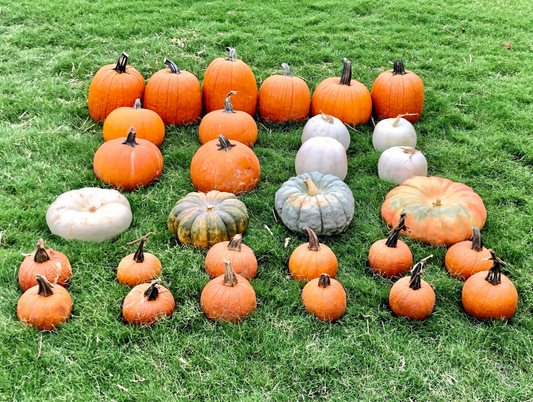 Classic Fall Porch Package