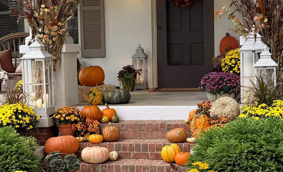 Keep Your Porch Pumpkins Fresh: Easy Steps That Work