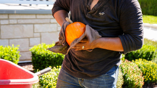 Fall Into Pumpkins team installing a porch display