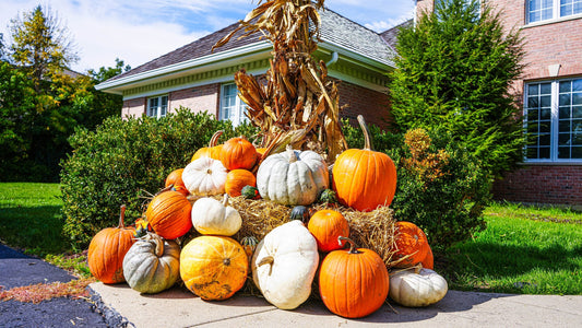 Pumpkin pyramid of orange, white and heirloom varieties on hay bales with cornstalks outside a brick home