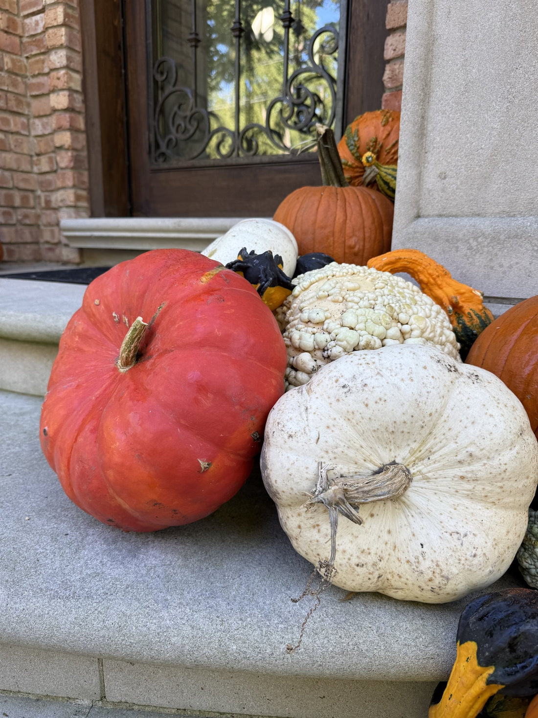 Close view of heirloom pumpkins and a warty gourd on a limestone step, rind texture and condition visible