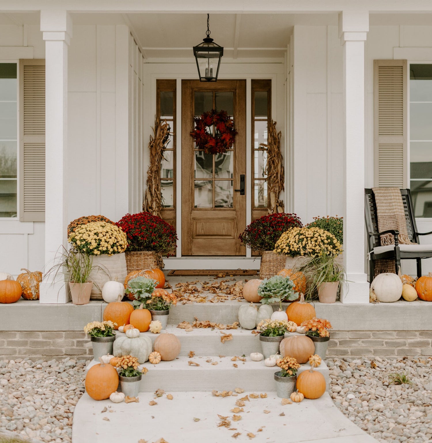 MUMs-PUMPKINS-Lake-Forest-IL.jpeg
