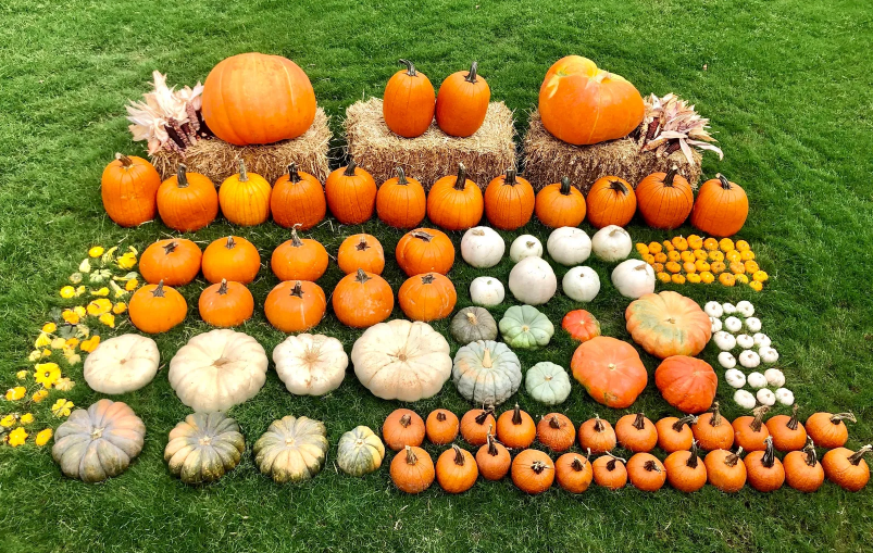 Fall Porch Showcase Package