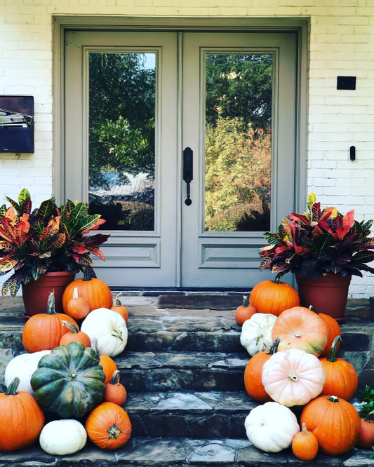 Classic Fall Porch Package