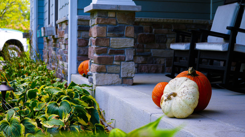 Classic fall porch display with white and orange pumpkins on a Chicagoland porch step