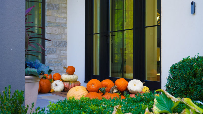 Classic fall porch package — heirloom pumpkins delivered along a modern home front entry