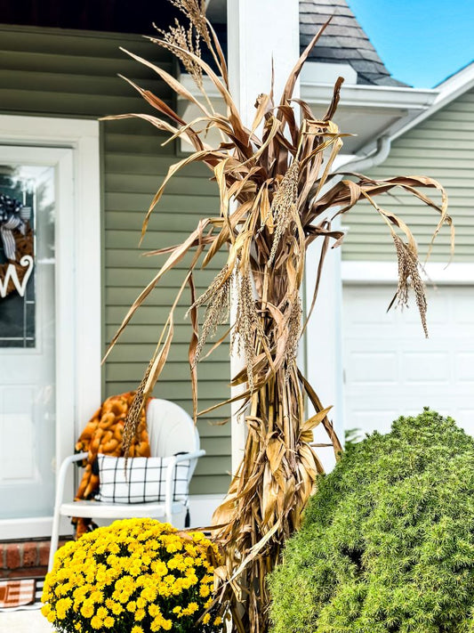 Bundle of Corn Stalks