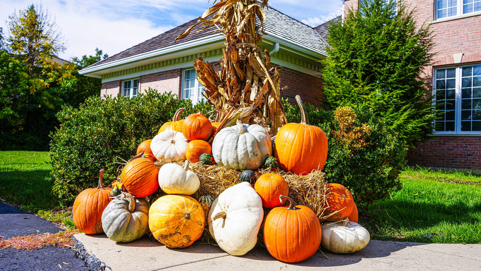 Heirloom fall porch display in Burr Ridge, IL