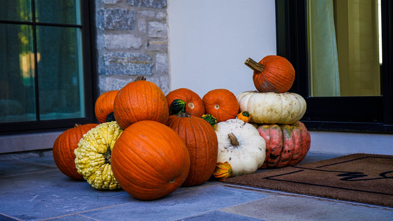 Heirloom pumpkin cluster styled at a modern glass-door entry