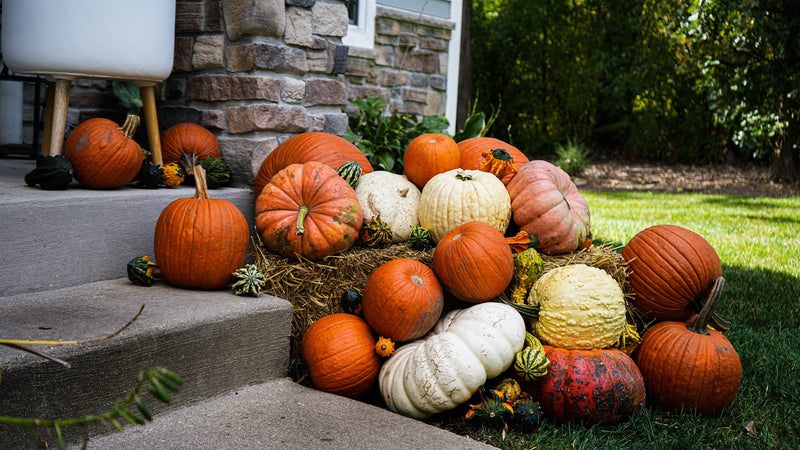 Heirloom pumpkin display on a hay bale at a home stone front steps