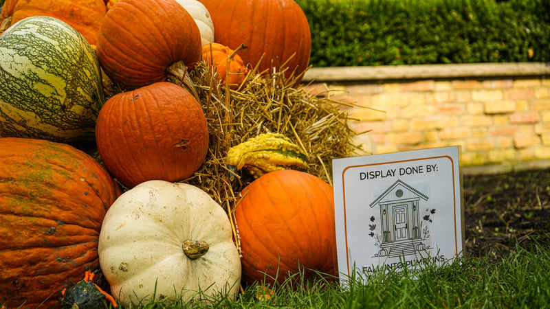 Close-up of heirloom pumpkins and gourds on a hay bale