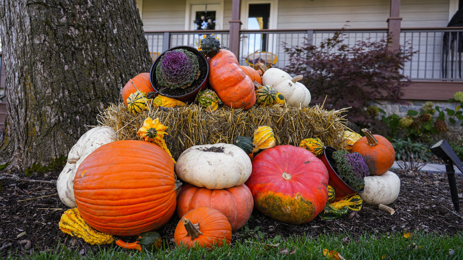 Fall porch installation for a Barrington, IL home