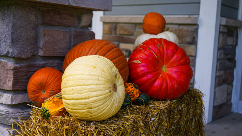 Heirloom pumpkins on a hay bale beside a stone porch column