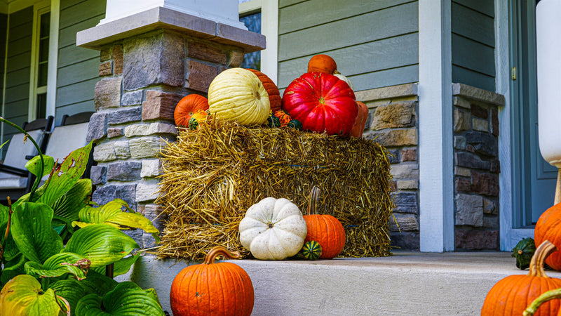 Scenic fall porch display — heirloom pumpkins on a hay bale at a craftsman porch