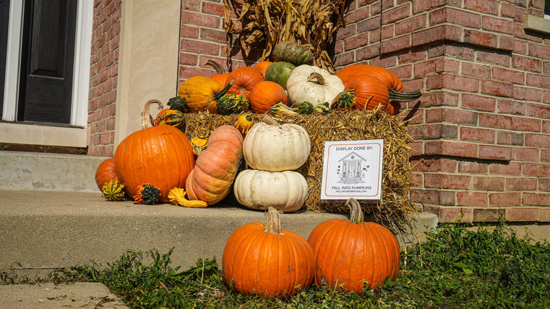 Scenic fall package — hay bales and heirloom pumpkins at a brick Chicagoland home