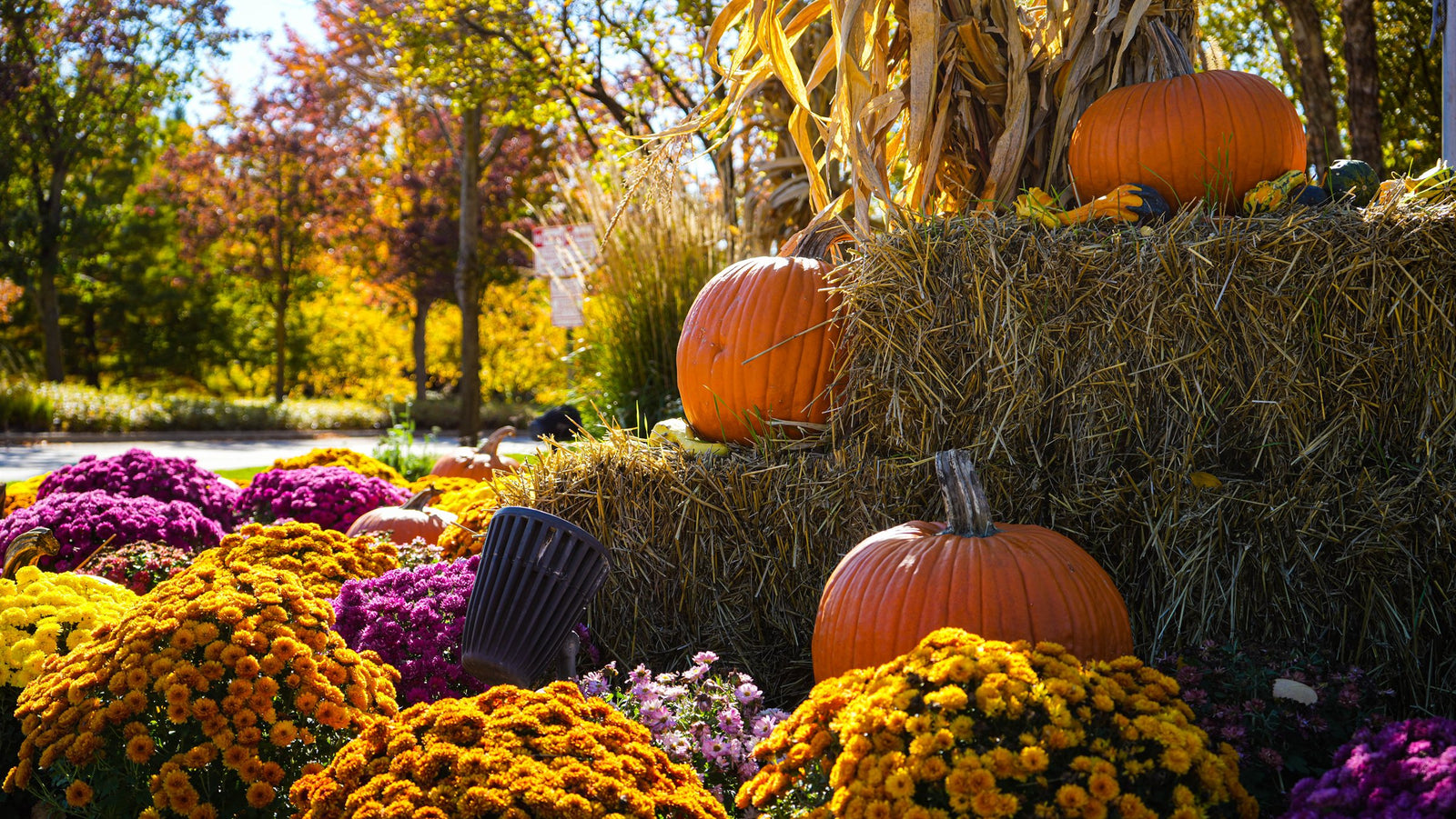 Fall porch installation for a Northbrook, IL home