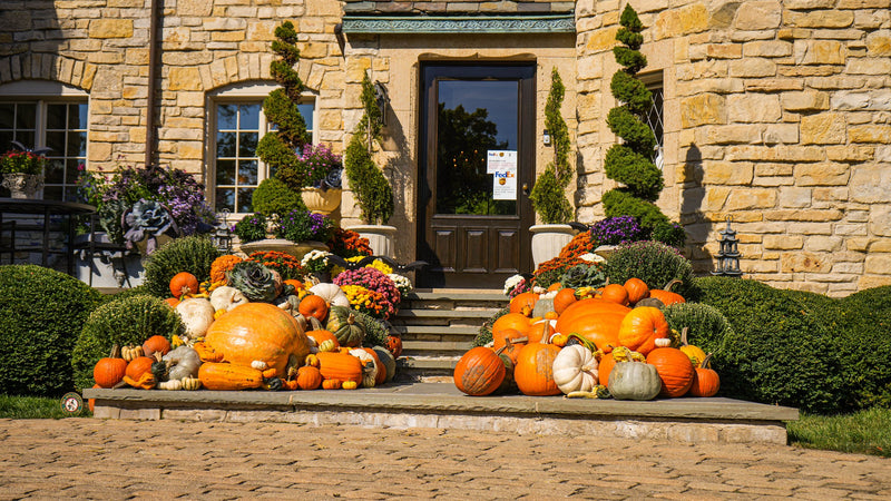 Showcase fall porch display at a limestone estate — heirloom pumpkins, gourds, and mums