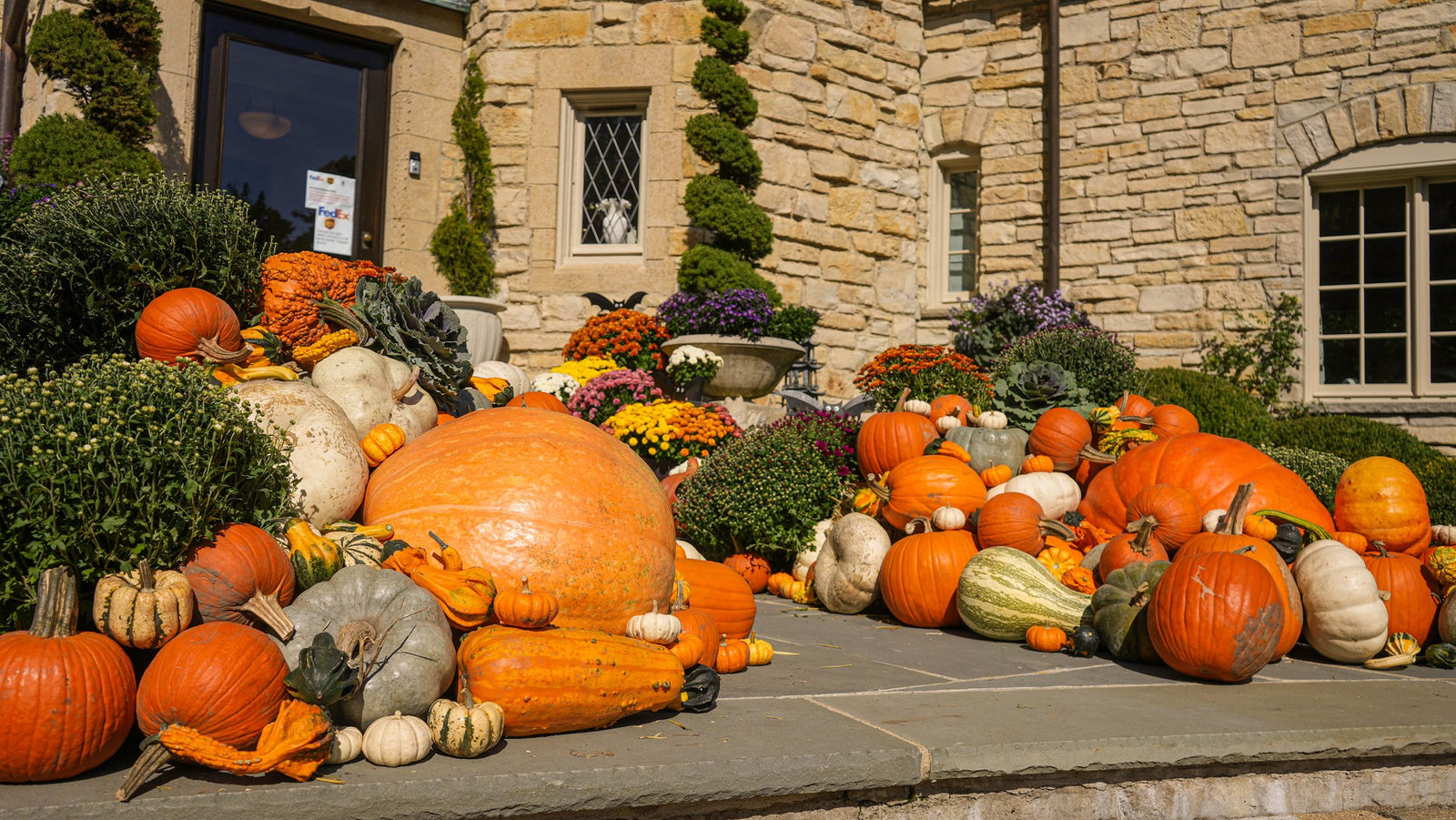 Heirloom fall porch display in Elmhurst, IL